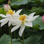 如何通过旺财28实现资产的快速增长 7iap3zxb