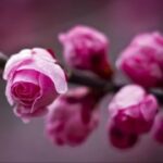 旺财28在日常生活中的应用技巧 b6t2q