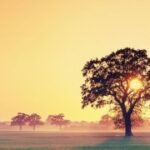 旺财28与心理暗示的财富效应 mwss3v37q