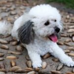 揭秘旺财28背后的财富管理理念 uwow2sm64