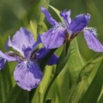 旺财28与生肖运势的深度关联 vb5oa7