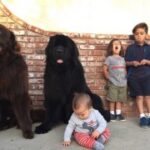 旺财28与家庭和谐的财富哲学 x0qnxdhw8