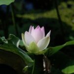 如何利用旺财28提升你的投资回报率 z4dn7pq1jn